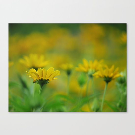 Blurs of Summer Canvas Print