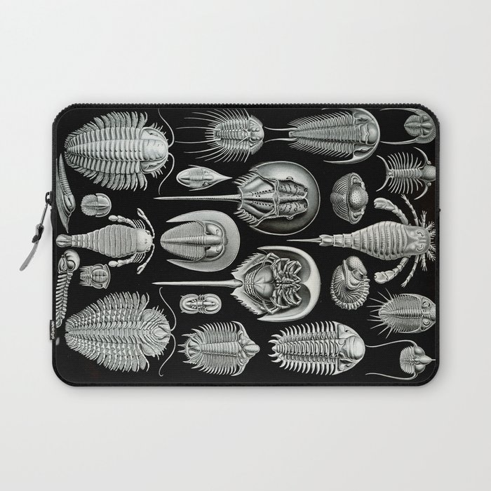 Trilobites and Fossils by Ernst Haeckel Laptop Sleeve