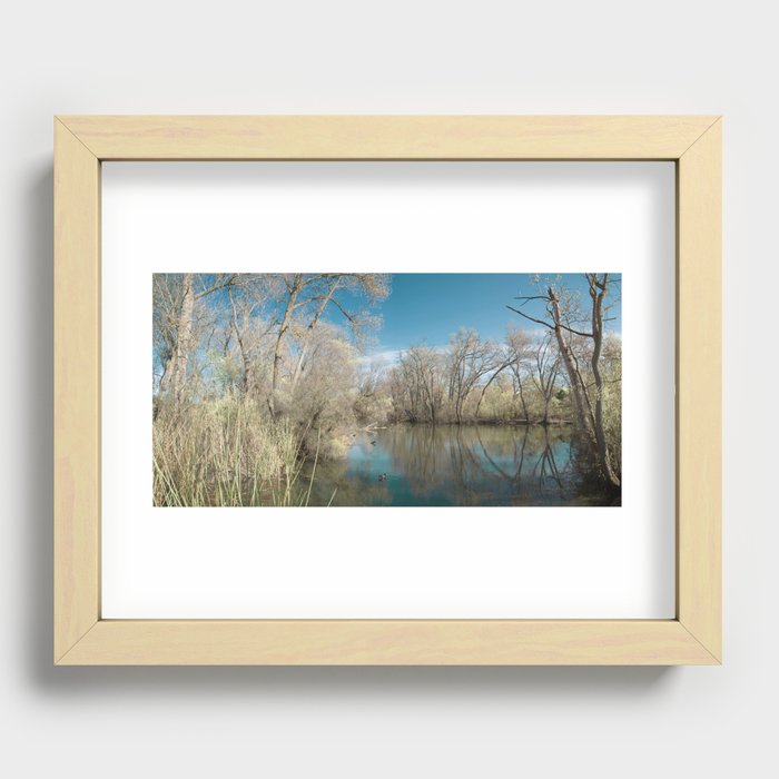 Pond Water Recessed Framed Print