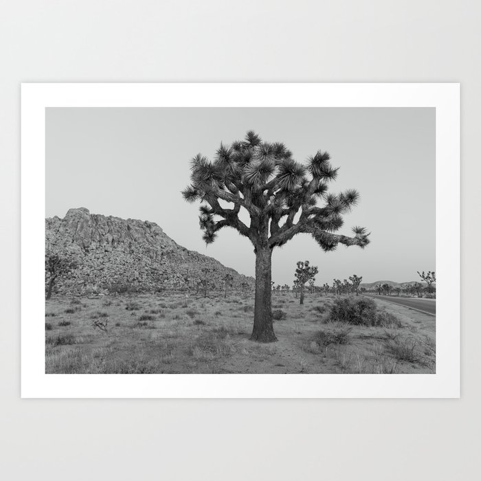 Living Mirage - Joshua Tree Art Print