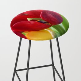 red and yellow tulips Bar Stool