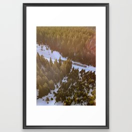 Birdview  Framed Art Print