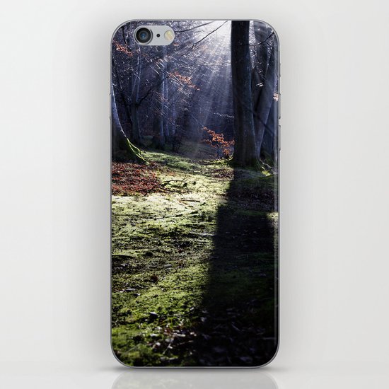 Fairy tale, forest landscape iPhone & iPod Skin