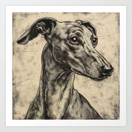  Portrait dog greyhound engraving drypoint Art Print