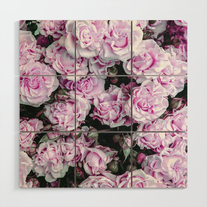 Botanical Rustic Country Chic Pink Green Roses Floral Wood Wall Art