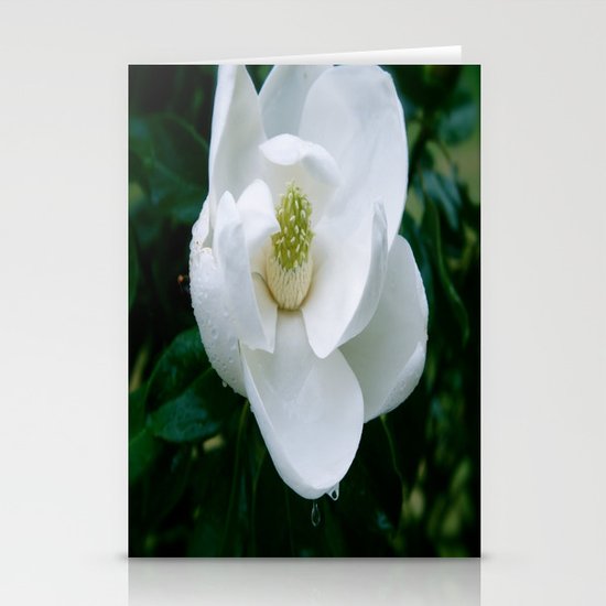 Magnolia Flower Stationery Cards
