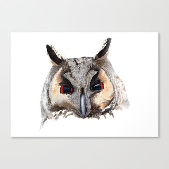 Long Eared Owl Canvas Print