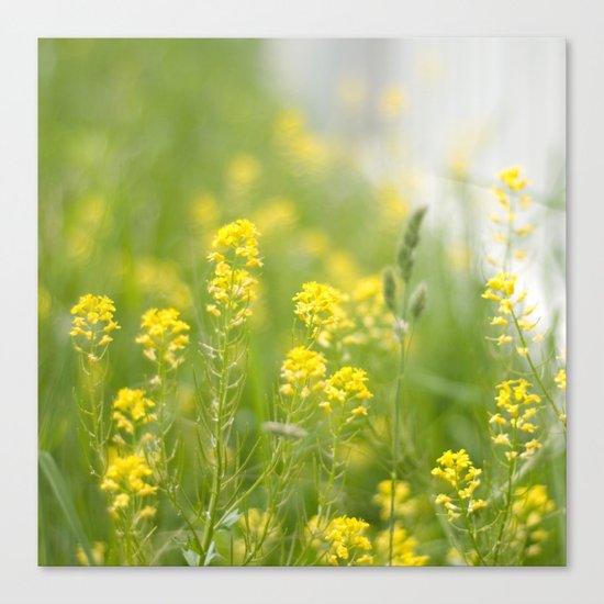 Sunny Days Ahead Canvas Print