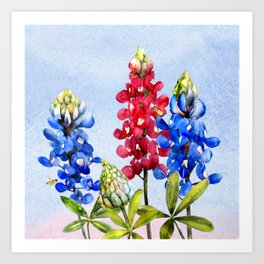 Bluebonnet Art Art Prints For Any Decor Style Society6
