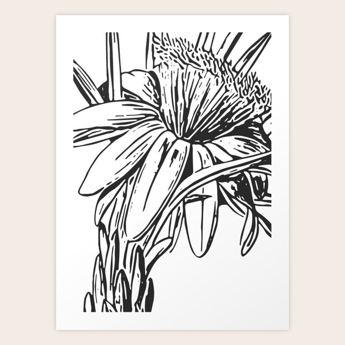 Minimalist Black And White Flower Drawing Art Print By Junejournal