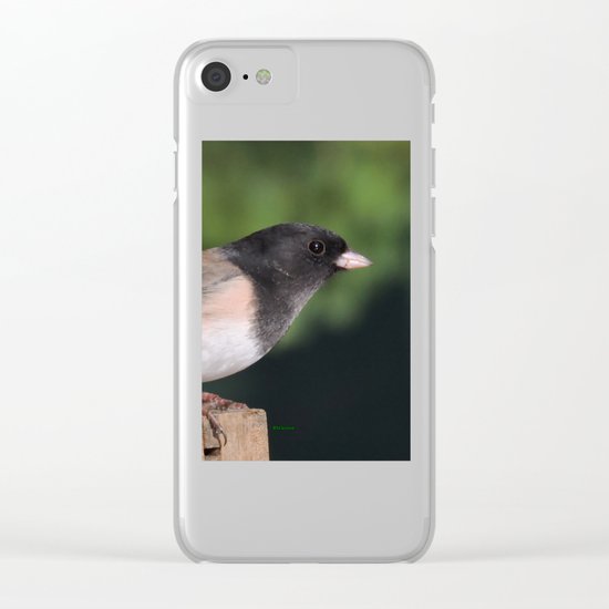 Dark-Eyed Junco Clear iPhone Case