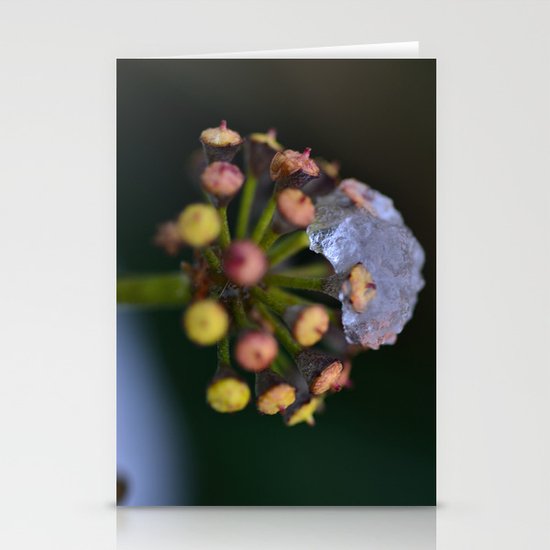 Snow On The Wild Ivy Stationery Cards