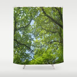 New Forest Beech Canopy Shower Curtain