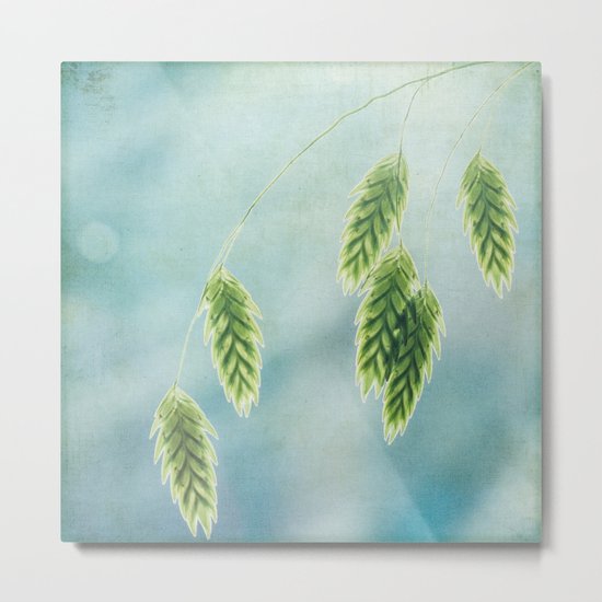 oat grass Metal Print