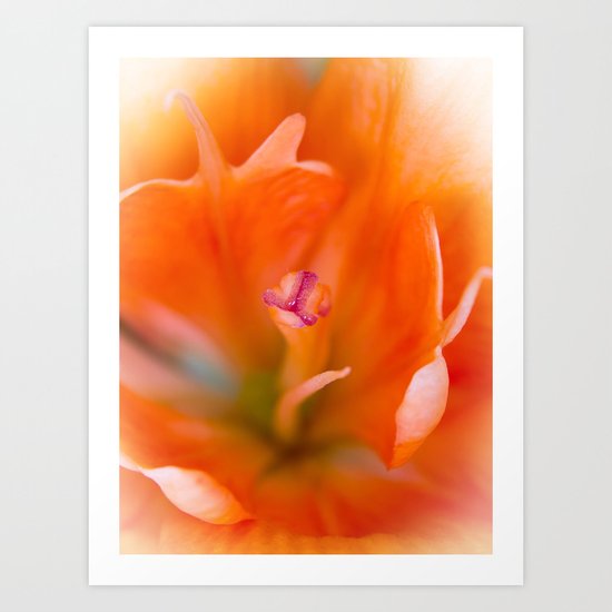 Lily Flower Closeup Art Print