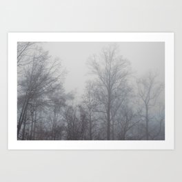 Foggy Morning Trees Art Print
