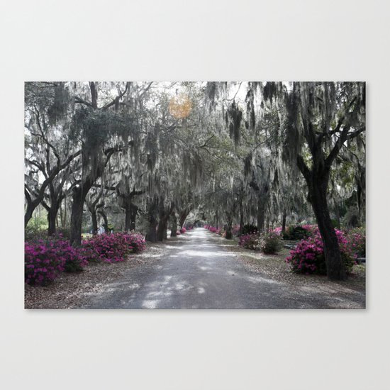 For The Glory Canvas Print