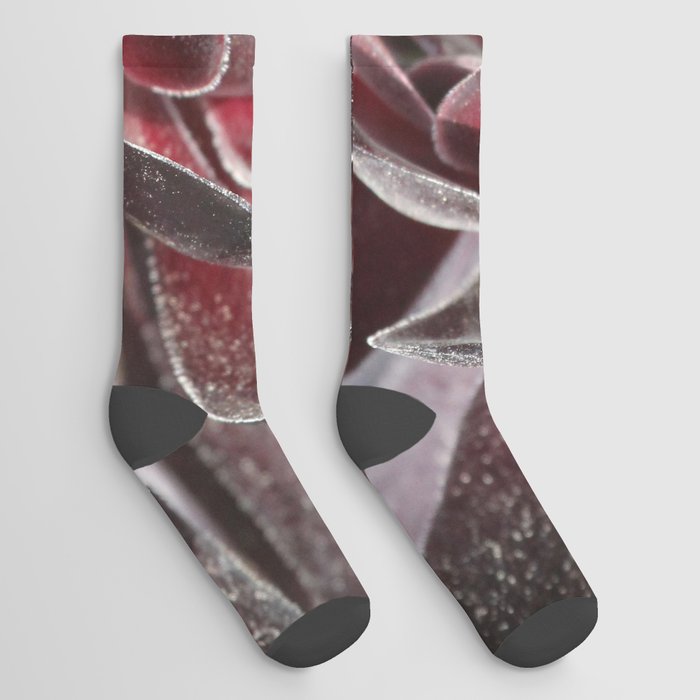 Succulent Cactus Blossom  Socks