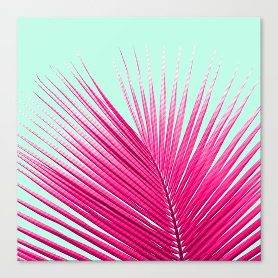 Pink Candy Cane Palm Canvas Print