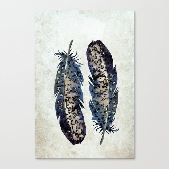 Feathers Canvas Print