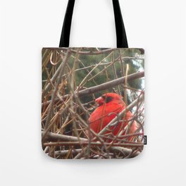 Chilly Cardinal 2 Tote Bag