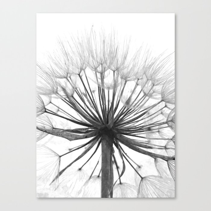 Black And White Dandelion Canvas Print By Alemi Society6