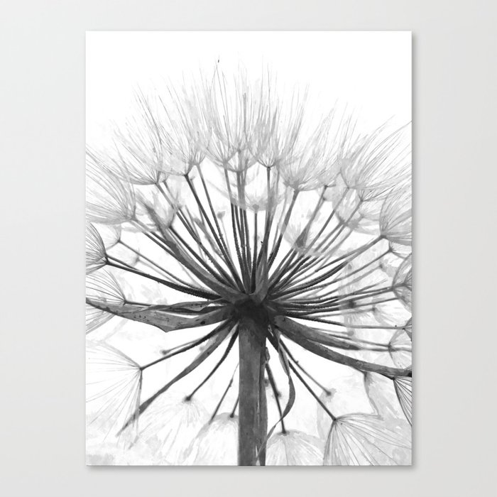 Black and White Dandelion Canvas Print