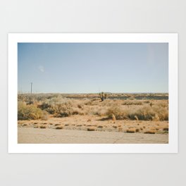 Out In West Texas Art Print