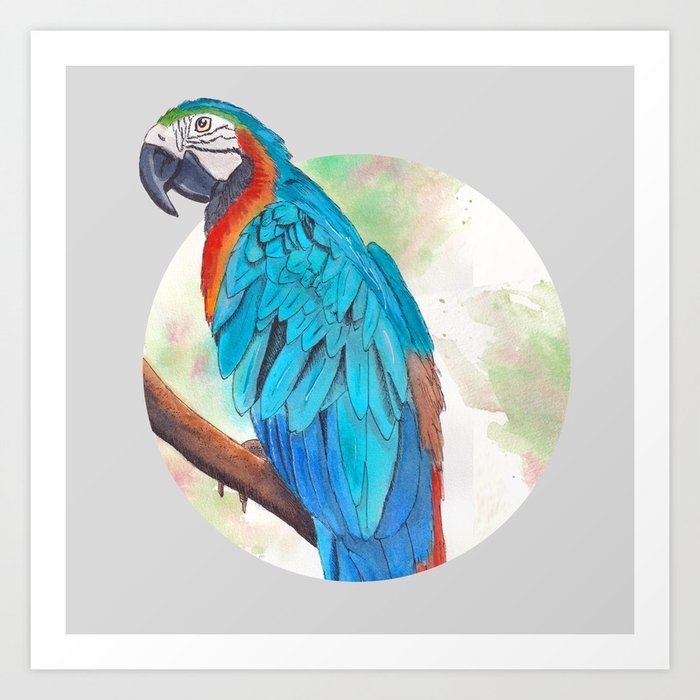 Blue Macaw Ink and Watercolor Art Print