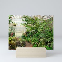 Greenhouse Gardening Mini Art Print