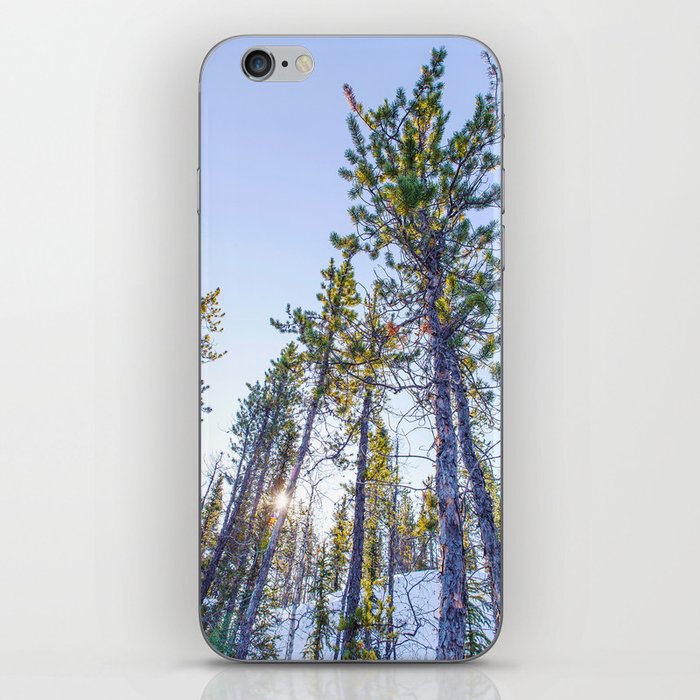 Sunset in the forest iPhone Skin