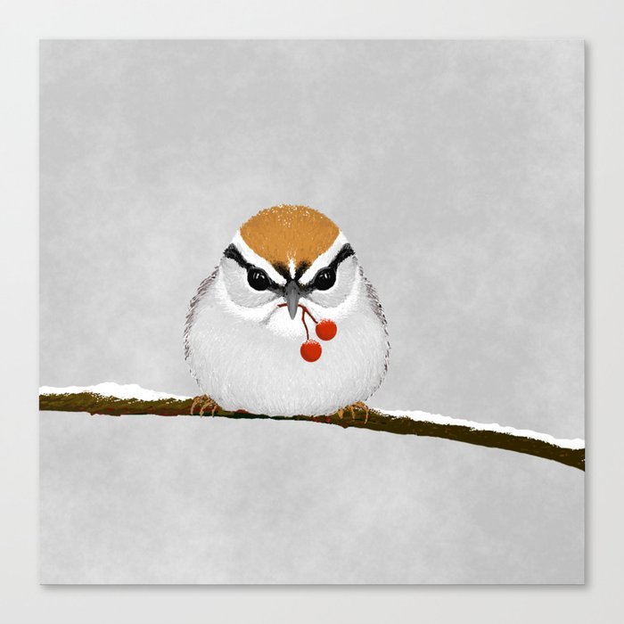 Chipping Sparrow on a Branch Canvas Print