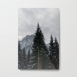 Stormy Forest | Nature and Landscape Photography Metal Print | Fun, Vintage, Pastel, Mountain, Portra, Cute, Love, Photo, Print, Bohemian 