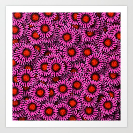 Echinacea Art Print