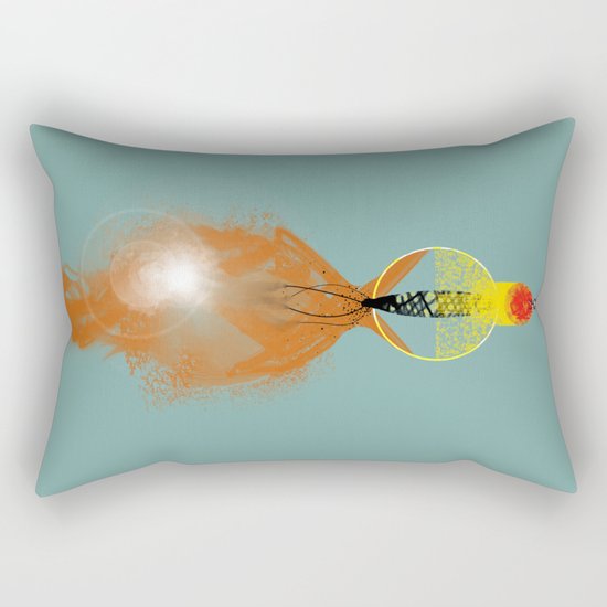 1 Rectangular Pillow