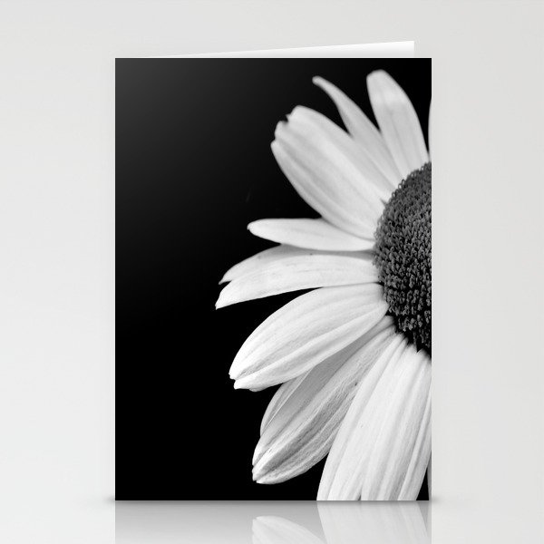 society6