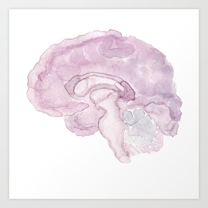 Brain Art Print By Watercolorpalette Society6
