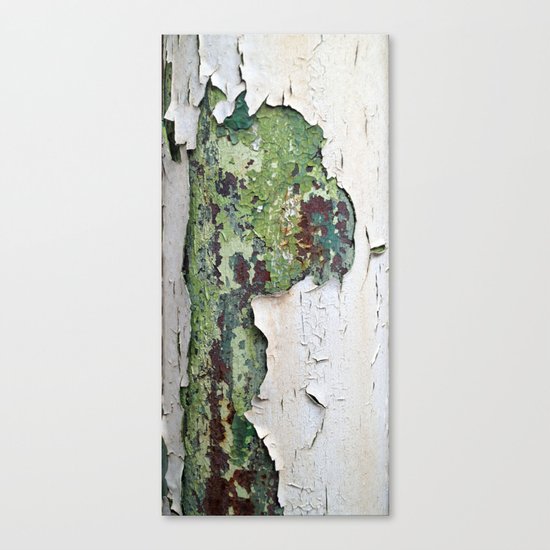 white green paint rust metal texture pattern Canvas Print