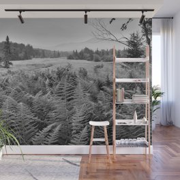 Canaan Valley West Virginia Fern Forest Landscape Mountains Black White Wall Mural