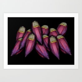 FOOD ART – EXOTIC FRUITS Banana flowers Art Print