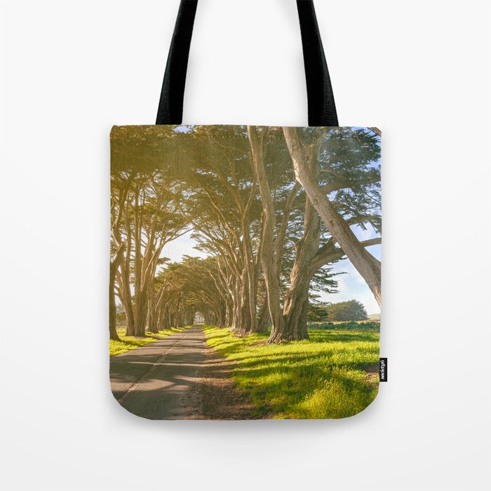  Cypress Tunnel Tote Bag