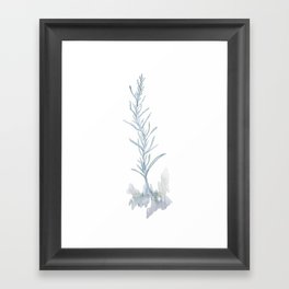 White Sage Framed Art Print