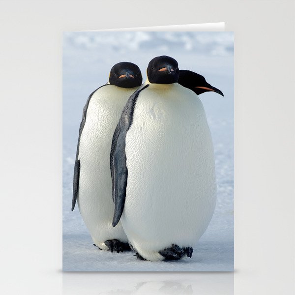Emperor Penguins Huddled Stationery Cards