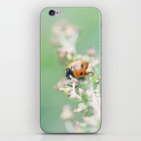 Enchanted Lady iPhone & iPod Skin