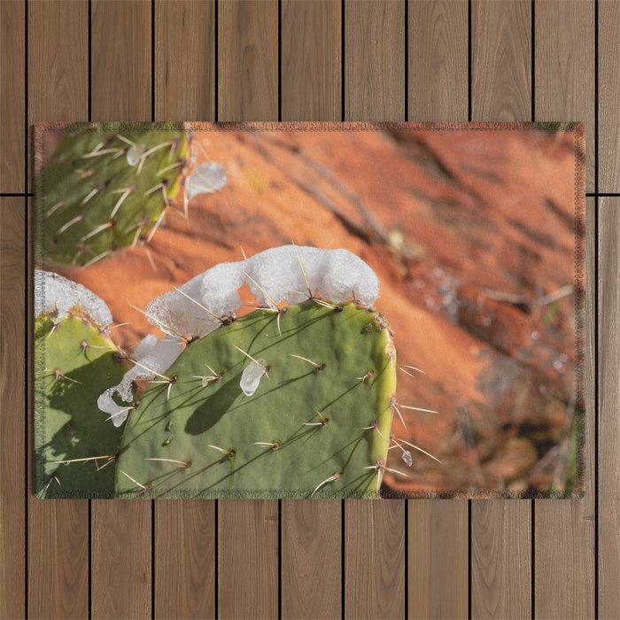 Snow-Capped Cacti - 0717 Outdoor Rug