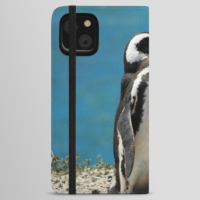 Argentina Photography - Beautiful Magellanic Penguin At The Ocean Shore iPhone Wallet Case