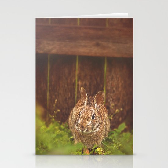 Easter bunny Stationery Cards