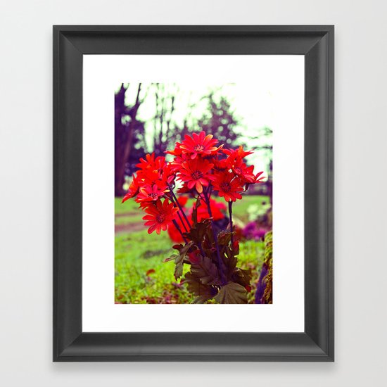 Simple red flowers Framed Art Print