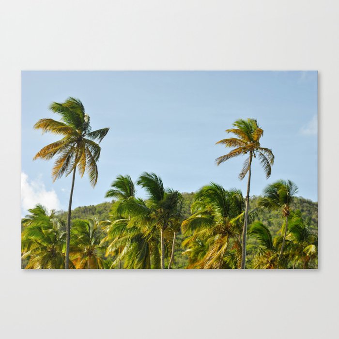 Palm Trees Pt. 4 Canvas Print