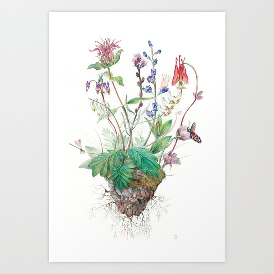 Wildflowers Art Print